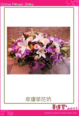 盆花送禮
